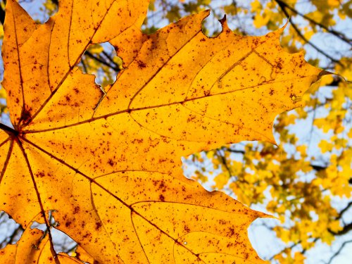 Herbstimpressionen