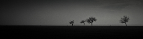 Nebel