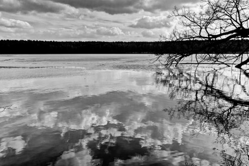 monochromer Blick monochromer Blick