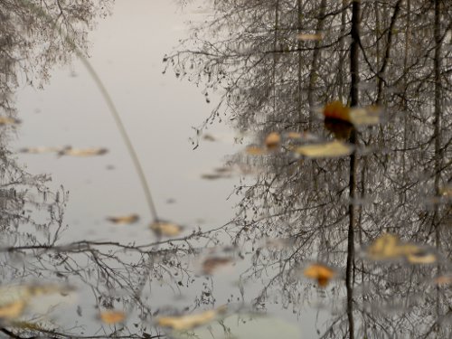 Wasserspiegelung