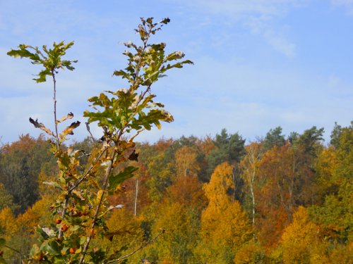 Herbstfarben